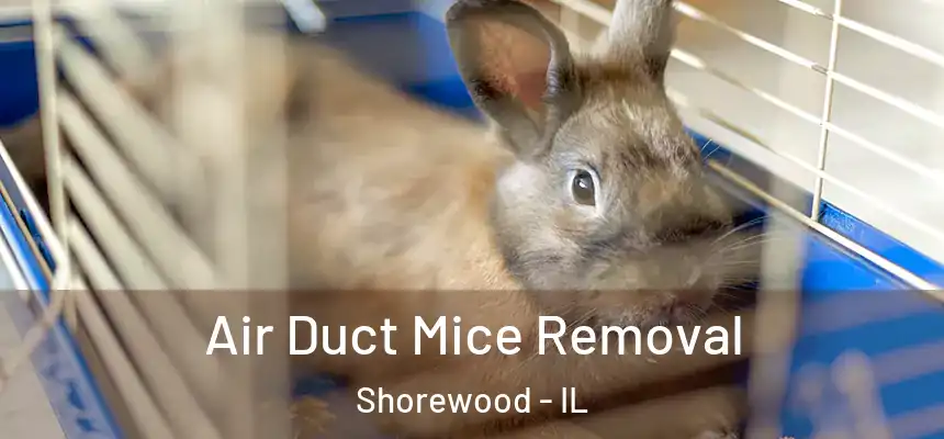  Air Duct Mice Removal Shorewood - IL