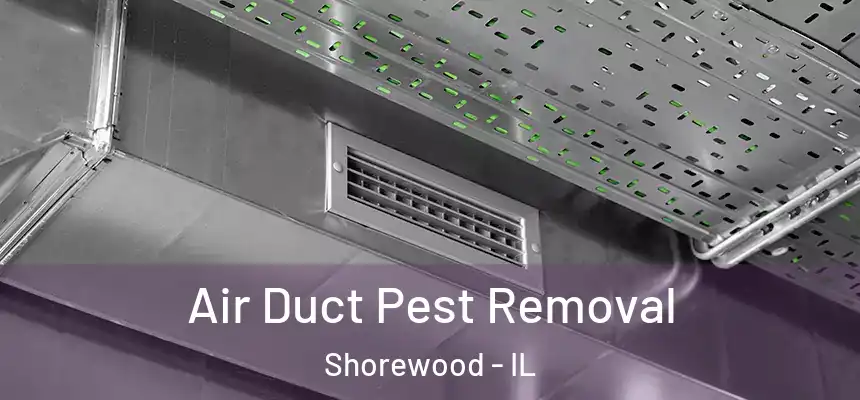  Air Duct Pest Removal Shorewood - IL
