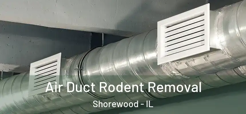  Air Duct Rodent Removal Shorewood - IL