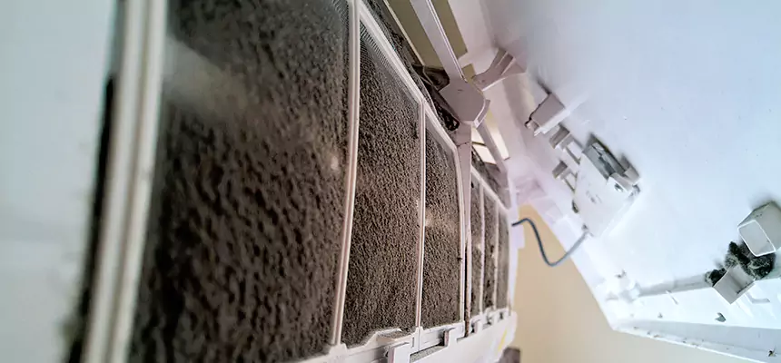 Preventive Air Duct Bacteria Removal in Shorewood