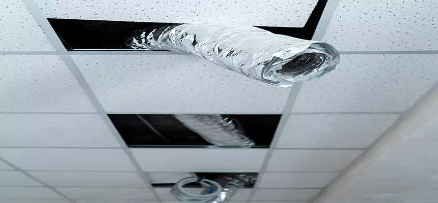 Affordable HVAC Sanitizing After Pest Removal in Shorewood