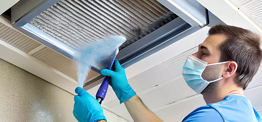 Proactive Dryer Vent & Auxiliary Duct Pollen Cleanup in Shorewood, IL