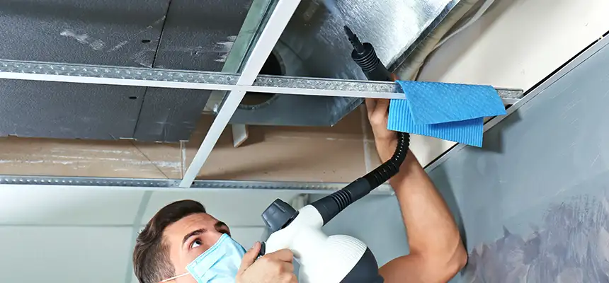 Our Air Duct Rodent Removal Services in Shorewood, IL
