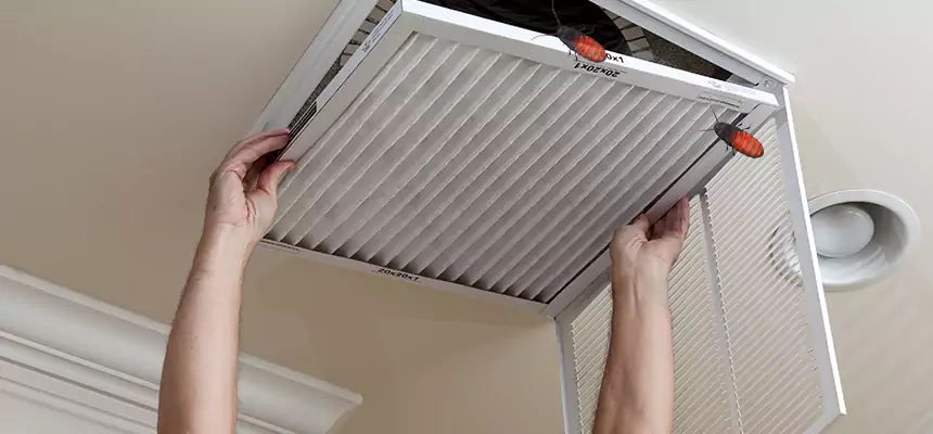 Our Insect Removal from Air Ducts Services in Shorewood, IL
