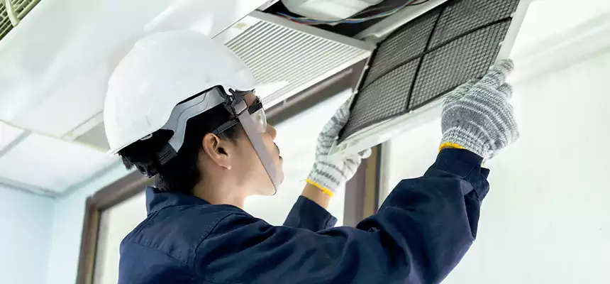 Our Mold & Mildew Removal from Air Ducts Services in Shorewood, IL