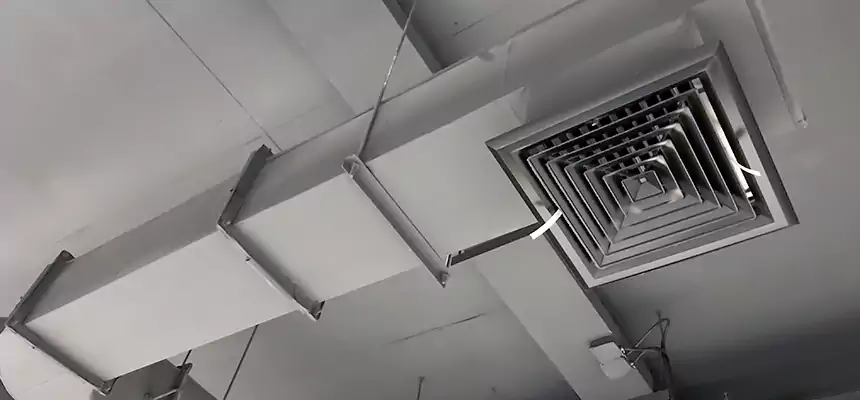 Our Pest Removal From Ducts Services in Shorewood, IL