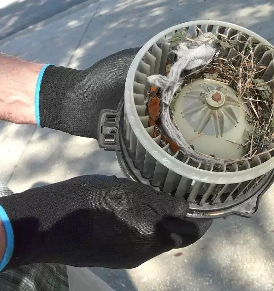 About Air Duct Mice Removal in Shorewood, IL