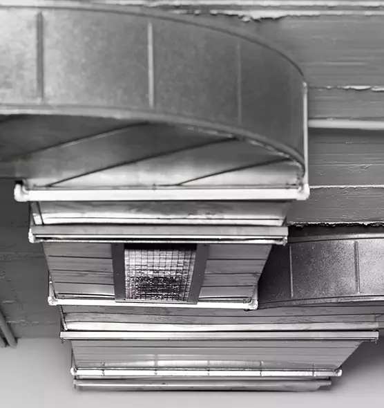 Professional Air Duct Pet Hair Removal in Shorewood, IL