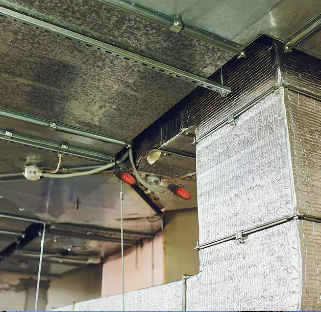 Why Homeowners & Businesses Trust Us in Shorewood, IL?