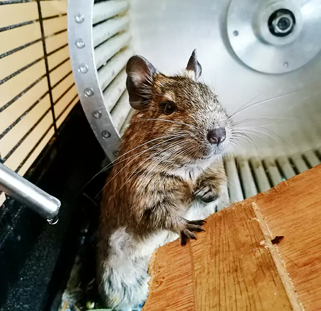 Why Homeowners & Businesses Trust Us Shorewood, IL?